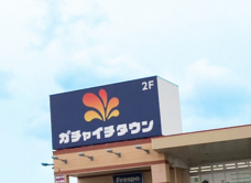 株式会社Iranoanのプレスリリース画像2