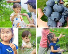 harucocofarmのプレスリリース画像4