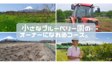 harucocofarmのプレスリリース画像9