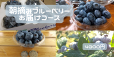 harucocofarmのプレスリリース画像7