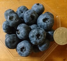 harucocofarmのプレスリリース画像11