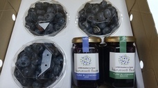 harucocofarmのプレスリリース画像14