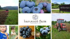 harucocofarmのプレスリリース画像10