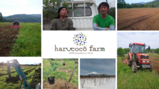 harucocofarmのプレスリリース画像12