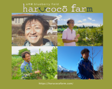 harucocofarmのプレスリリース画像2
