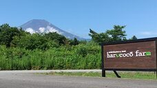 harucocofarmのプレスリリース画像16