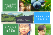 harucocofarmのプレスリリース画像5