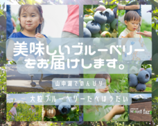 harucocofarmのプレスリリース画像1