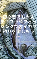 eDaikokudoのプレスリリース画像1