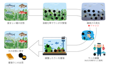 株式会社うにフルのプレスリリース画像1