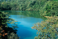 株式会社前田組のプレスリリース画像13