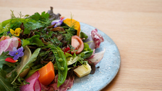 株式会社前田組のプレスリリース画像10