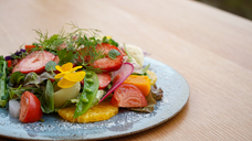 株式会社前田組のプレスリリース画像12