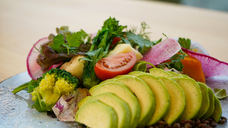 株式会社前田組のプレスリリース画像11