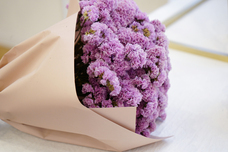 株式会社前田組のプレスリリース画像18