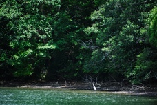 株式会社前田組のプレスリリース画像9