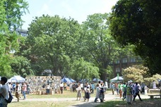 五月祭常任委員会のプレスリリース画像1