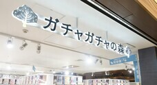 株式会社ルルアークのプレスリリース画像6