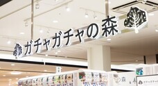 株式会社ルルアークのプレスリリース画像6