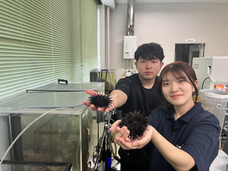 独立行政法人国立高等専門学校機構のプレスリリース画像3