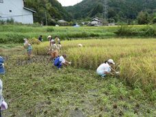独立行政法人国立高等専門学校機構のプレスリリース画像2