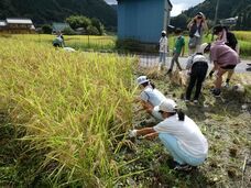 独立行政法人国立高等専門学校機構のプレスリリース画像6
