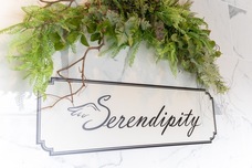 株式会社Serendipity-ｊのプレスリリース画像2