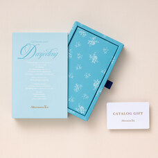 コンセント株式会社のプレスリリース画像3