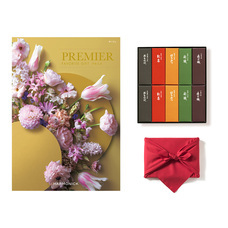 コンセント株式会社のプレスリリース画像1