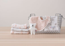 コンセント株式会社のプレスリリース画像1