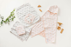 コンセント株式会社のプレスリリース画像2