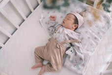 コンセント株式会社のプレスリリース画像3