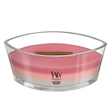 コンセント株式会社のプレスリリース画像1