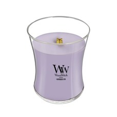 コンセント株式会社のプレスリリース画像2