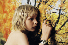 モイ株式会社のプレスリリース画像6