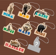 株式会社アイ・ディー(木－ホルダープロジェクト)のプレスリリース画像8