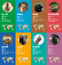 株式会社アイ・ディー(木－ホルダープロジェクト)のプレスリリース画像7