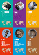 株式会社アイ・ディー(木－ホルダープロジェクト)のプレスリリース画像10