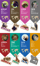 株式会社アイ・ディー(木－ホルダープロジェクト)のプレスリリース画像17