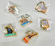 株式会社アイ・ディー(木－ホルダープロジェクト)のプレスリリース画像3