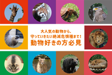 株式会社アイ・ディー(木－ホルダープロジェクト)のプレスリリース画像1