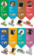 株式会社アイ・ディー(木－ホルダープロジェクト)のプレスリリース画像14