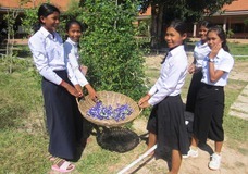 株式会社セジョンティのプレスリリース画像1