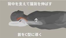 株式会社OFFICE35のプレスリリース画像7