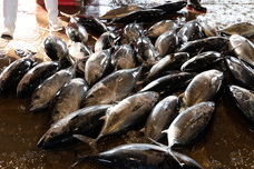 株式会社 中島ストアーのプレスリリース画像5