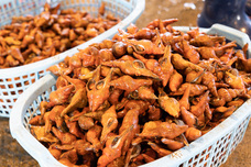 株式会社 中島ストアーのプレスリリース画像6