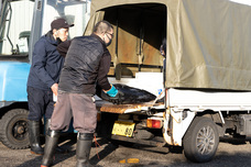 株式会社 中島ストアーのプレスリリース画像9