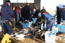 株式会社 中島ストアーのプレスリリース画像8