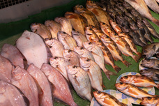 株式会社 中島ストアーのプレスリリース画像7