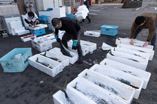 株式会社 中島ストアーのプレスリリース画像10